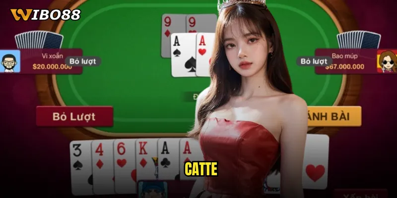 Catte